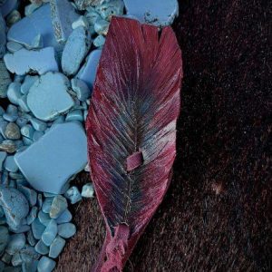 merlot purple with teal and a hint of cream on the side