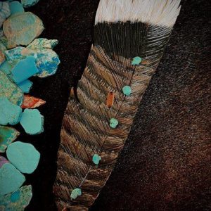 multicolored turkey feather Elijah with 5 stones