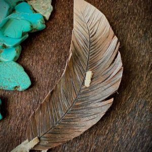 small curved brown and cream feather