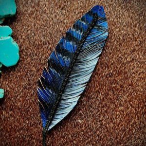 blue bird feather with blue, black and hints of white