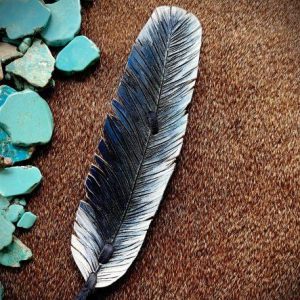 blue, white and black feather that that looks like the ocean