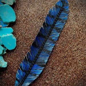 blue jay feather that is blue and black with black lace