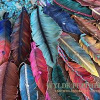 Leather Feathers Group image for mega menu